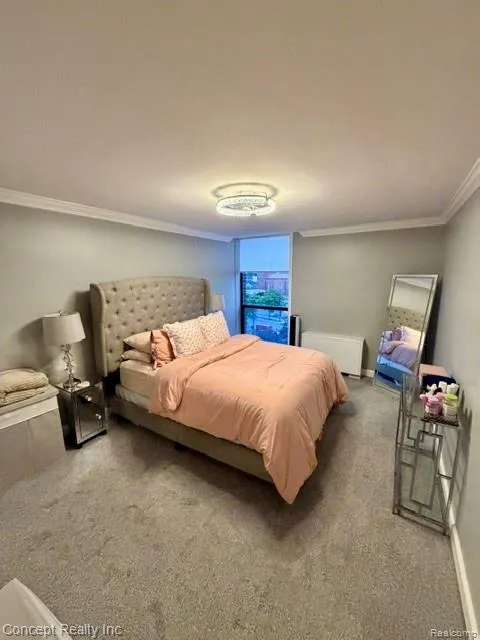 20 Chestnut Street #602 Wyandotte City, MI 48192
