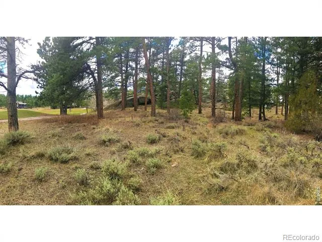 520 Fox Acres Drive W Drive W Red Feather Lakes, CO 80545