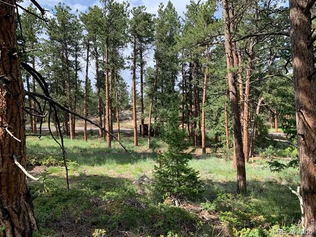 520 Fox Acres Drive W Drive W Red Feather Lakes, CO 80545