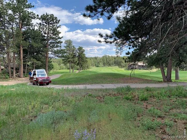 520 Fox Acres Drive W Drive W Red Feather Lakes, CO 80545