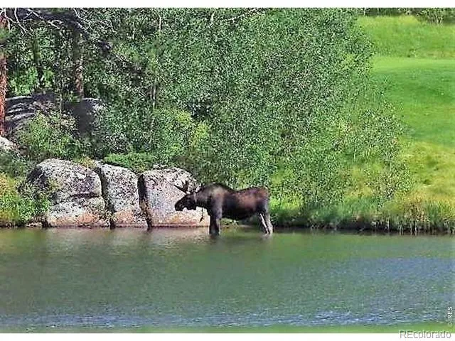 520 Fox Acres Drive W Drive W Red Feather Lakes, CO 80545
