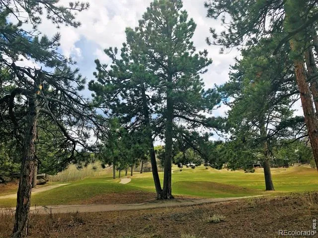 520 Fox Acres Drive W Drive W Red Feather Lakes, CO 80545