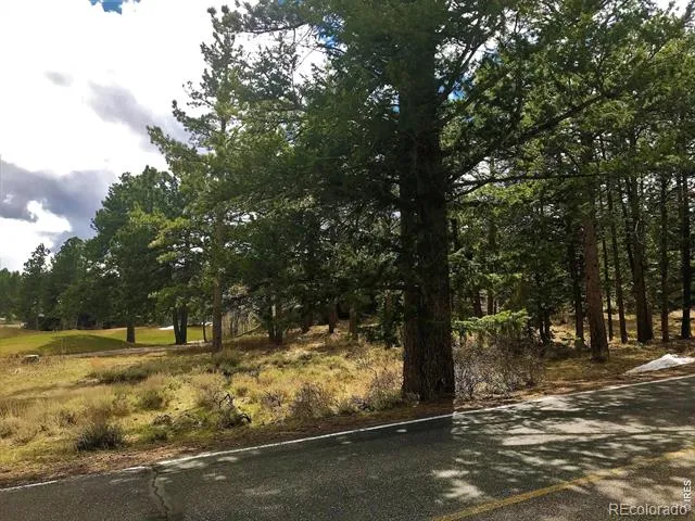 520 Fox Acres Drive W Drive W Red Feather Lakes, CO 80545