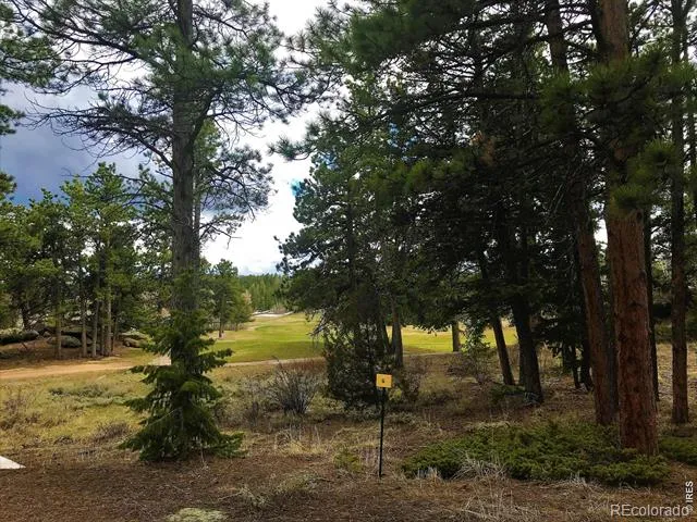 520 Fox Acres Drive W Drive W Red Feather Lakes, CO 80545