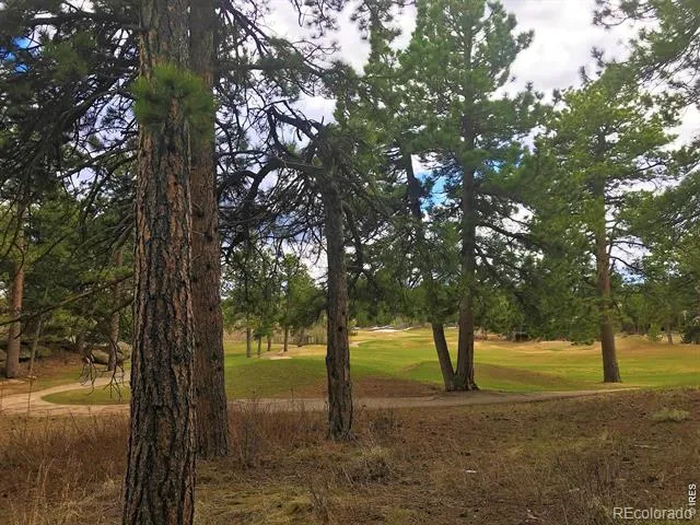 520 Fox Acres Drive W Drive W Red Feather Lakes, CO 80545