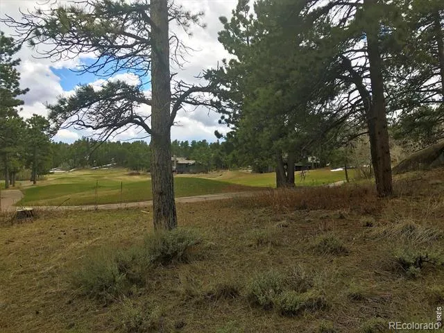 520 Fox Acres Drive W Drive W Red Feather Lakes, CO 80545
