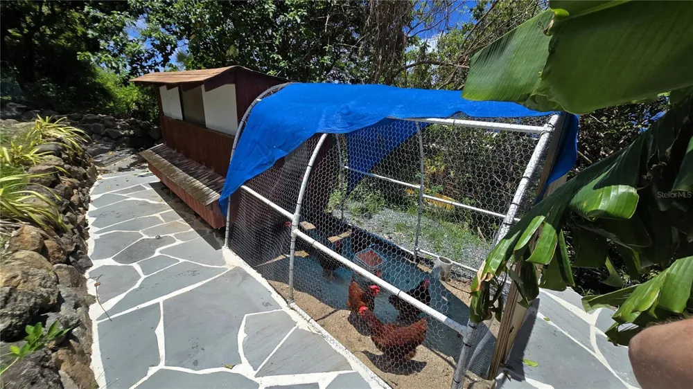 3 LA QUINTA MELONES BEACH BARRIO FLAMENCO Culebra, PR 00775