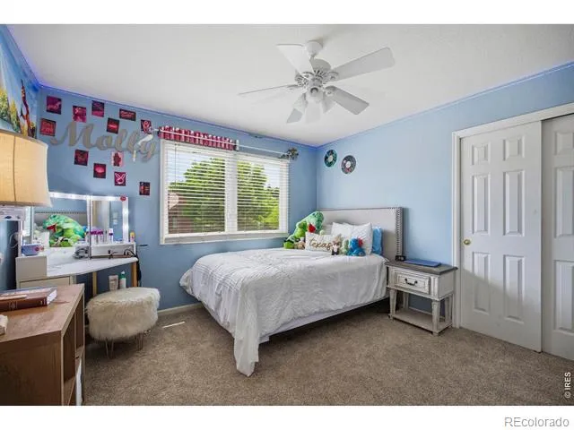 5308 Augusta Trail Fort Collins, CO 80528