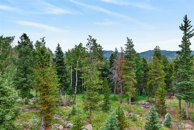 31547 Conifer Mountain Drive Conifer, CO 80433