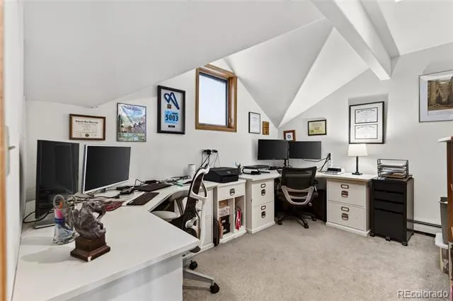 31547 Conifer Mountain Drive Conifer, CO 80433