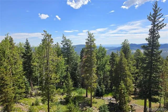 31547 Conifer Mountain Drive Conifer, CO 80433