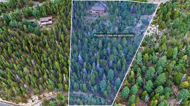 31547 Conifer Mountain Drive Conifer, CO 80433