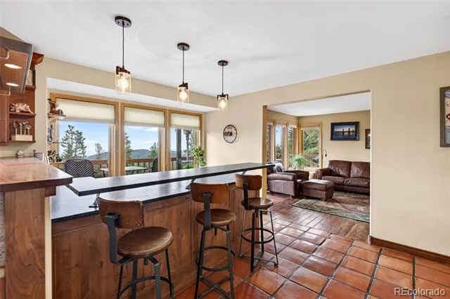 31547 Conifer Mountain Drive Conifer, CO 80433