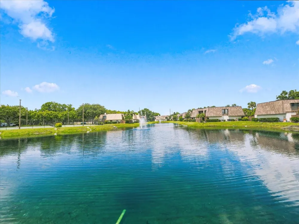 15314 E POND WOODS DRIVE #15314 Tampa, FL 33618