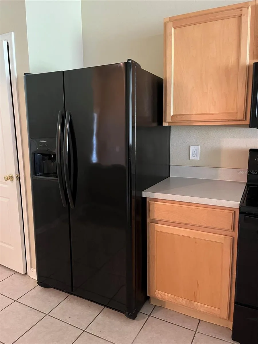 2751 CONCH HOLLOW DRIVE Brandon, FL 33511