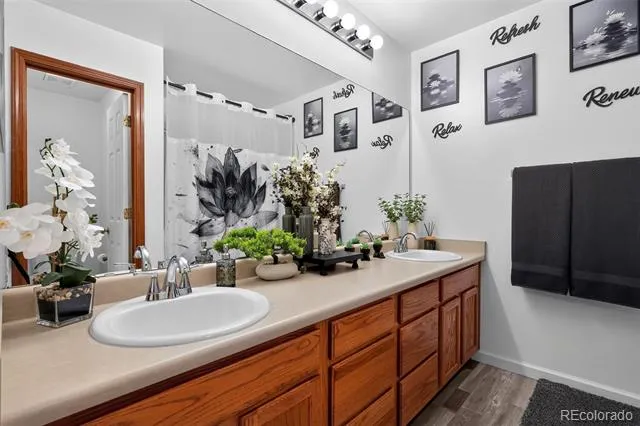 7739 Del Ray Bay Street Fountain, CO 80817
