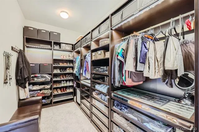 3981 Old Oaks Street Castle Rock, CO 80104