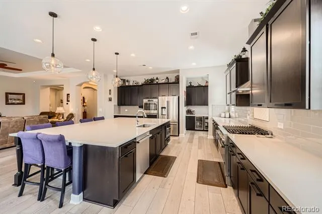3981 Old Oaks Street Castle Rock, CO 80104