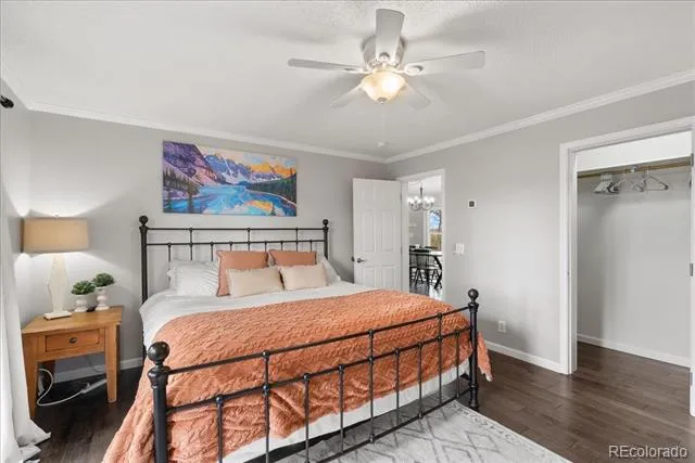 271 Sheep Ridge Road Fairplay, CO 80440