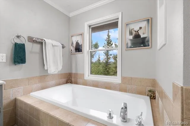 271 Sheep Ridge Road Fairplay, CO 80440