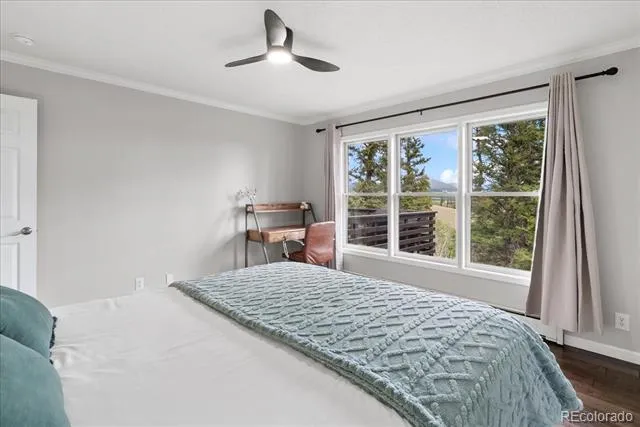 271 Sheep Ridge Road Fairplay, CO 80440