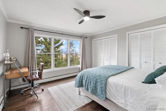 271 Sheep Ridge Road Fairplay, CO 80440