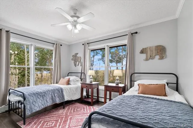 271 Sheep Ridge Road Fairplay, CO 80440