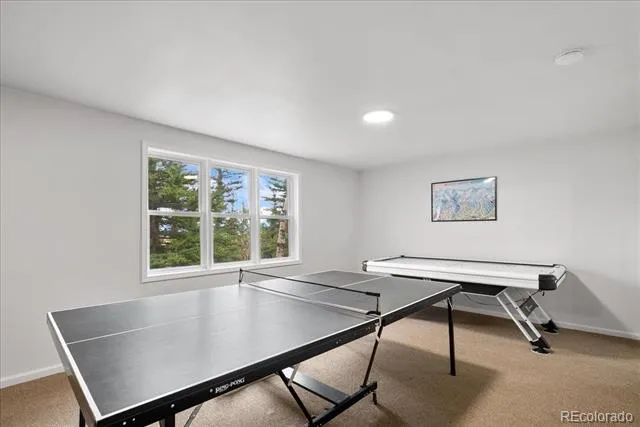 271 Sheep Ridge Road Fairplay, CO 80440