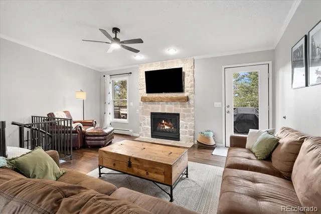 271 Sheep Ridge Road Fairplay, CO 80440