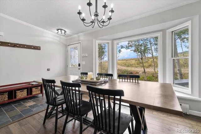 271 Sheep Ridge Road Fairplay, CO 80440