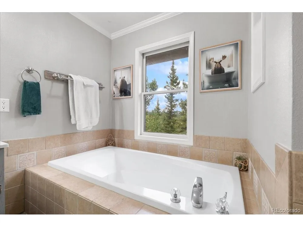 271 Sheep Ridge Road Fairplay, CO 80440