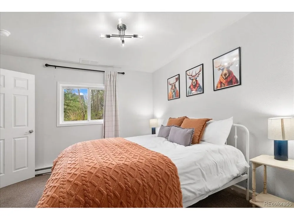 271 Sheep Ridge Road Fairplay, CO 80440