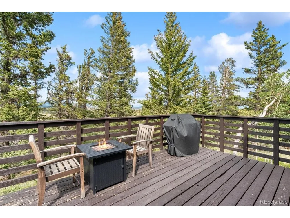271 Sheep Ridge Road Fairplay, CO 80440