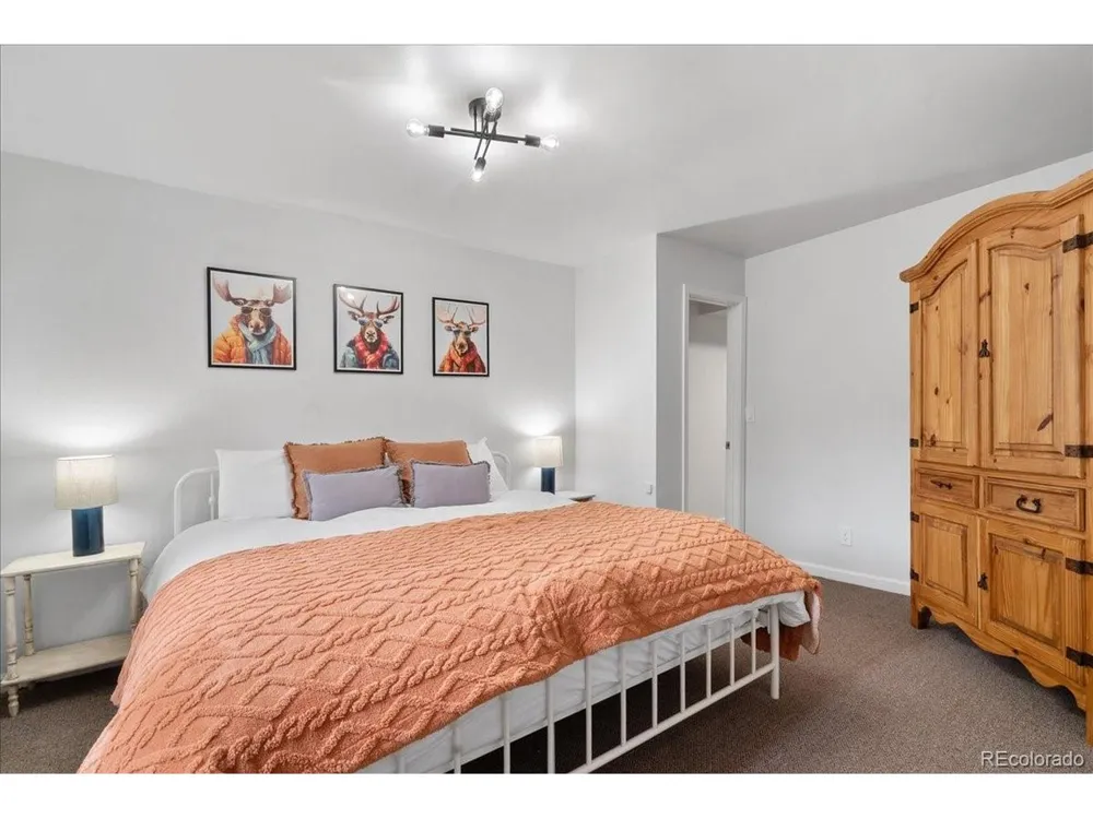 271 Sheep Ridge Road Fairplay, CO 80440