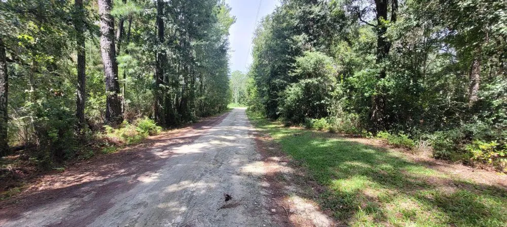 NW 198th Lane 
