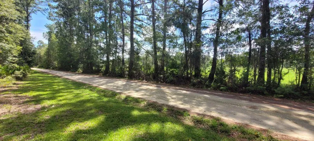 NW 198th Lane 