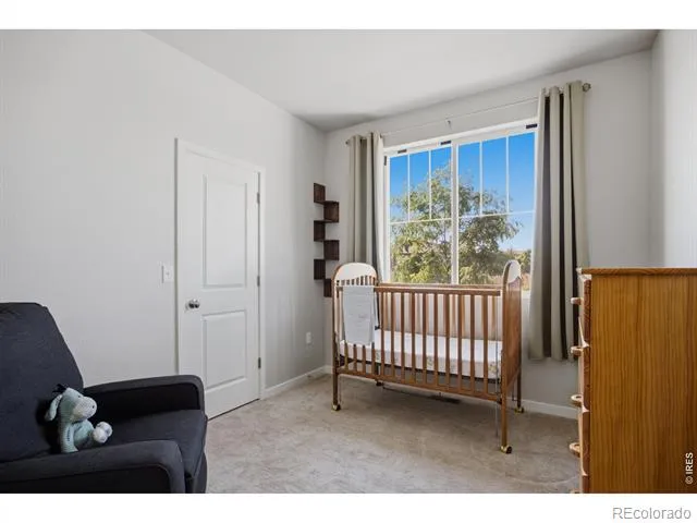 3786 Sweetgum Street Wellington, CO 80549
