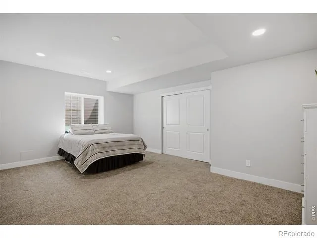 3786 Sweetgum Street Wellington, CO 80549