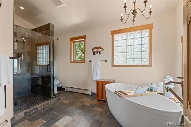 13432 Riley Peak Road Conifer, CO 80433