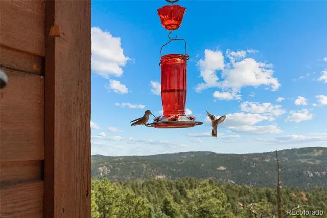 13432 Riley Peak Road Conifer, CO 80433