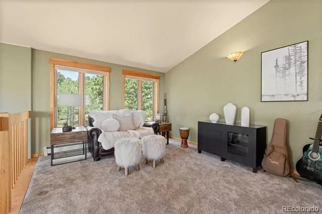 13432 Riley Peak Road Conifer, CO 80433