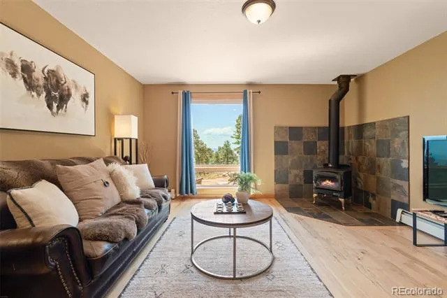 13432 Riley Peak Road Conifer, CO 80433