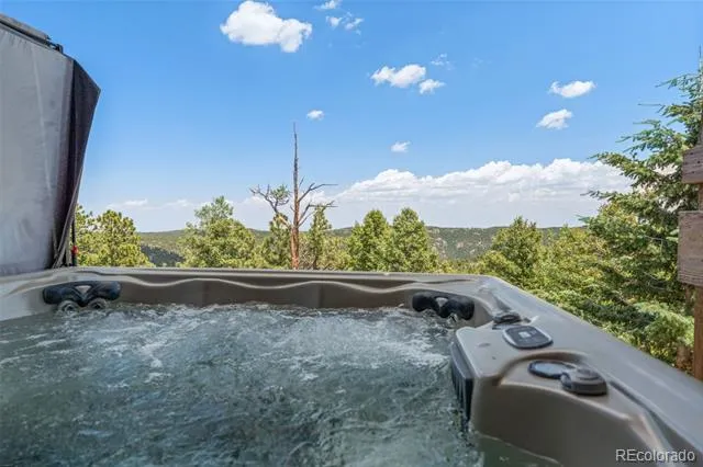 13432 Riley Peak Road Conifer, CO 80433