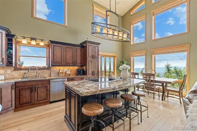 13432 Riley Peak Road Conifer, CO 80433