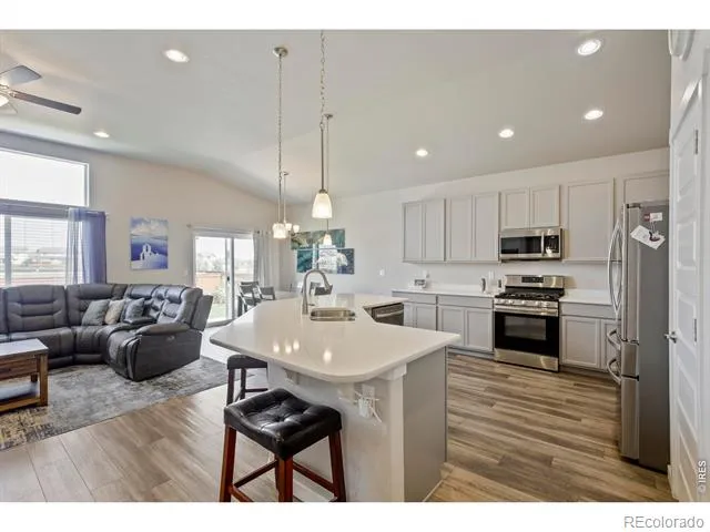 1252 Wild Basin Road Severance, CO 80550