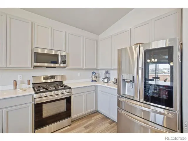 1252 Wild Basin Road Severance, CO 80550