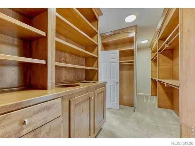 10360 Bluffmont Drive Lone Tree, CO 80124