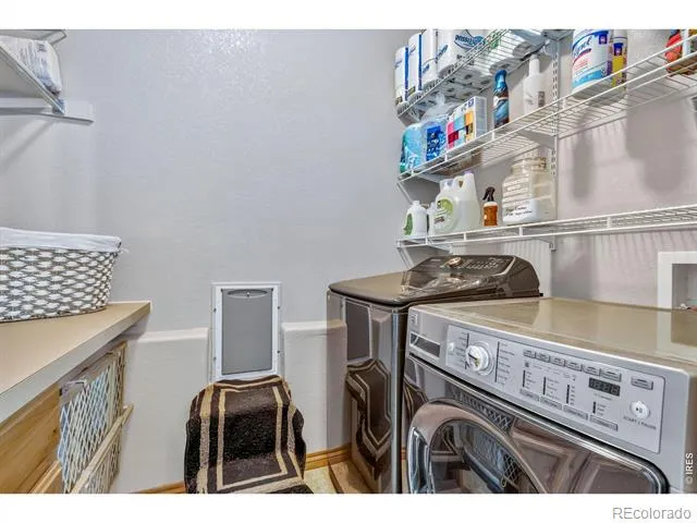 9050 Spirit Street Wellington, CO 80549