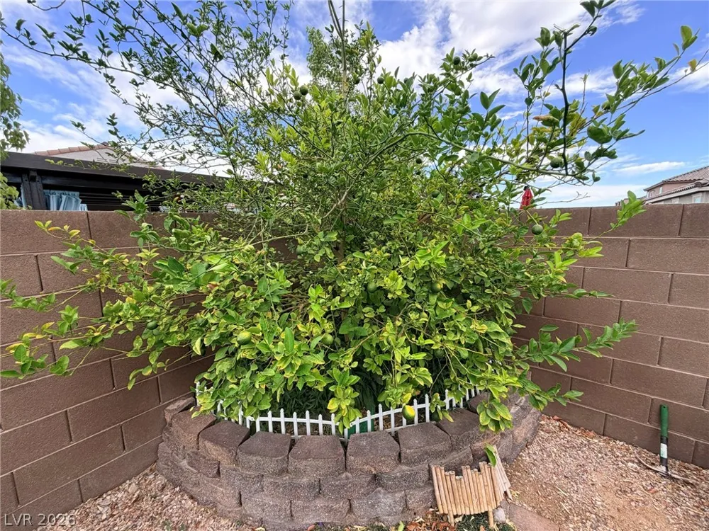 6920 Baylor Creek Street North Las Vegas, NV 89086