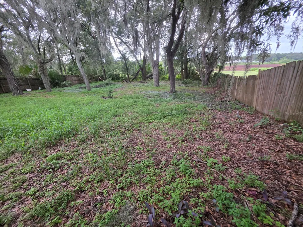 6416 LAKE HORSESHOE DRIVE Orlando, FL 32818